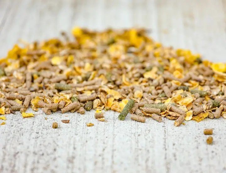 Cavalor - Action Mix Sport - L-HC000 - Cavalor - Horses