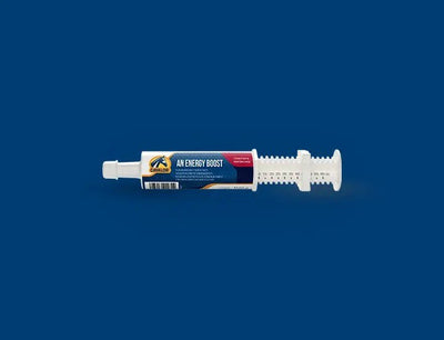 תוסף אנרגיה מהיר לסוסים, קוואלור An Energy Boost – תצוגה נוספת