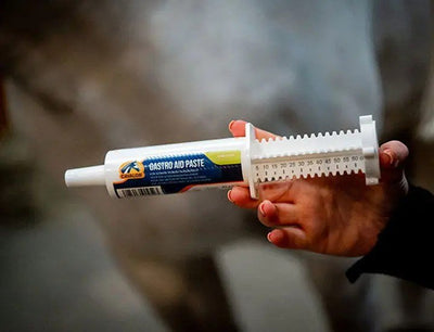 משחה לתמיכה בעיכול ובקיבת הסוס, קוואלור Gastro Aid – תצוגה נוספת
