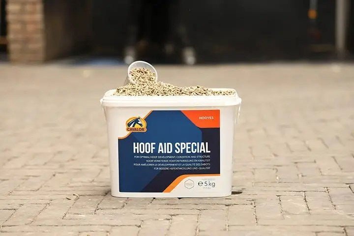 Cavalor - Hoof Aid Special - L-CH021-2 - Cavalor - Horses