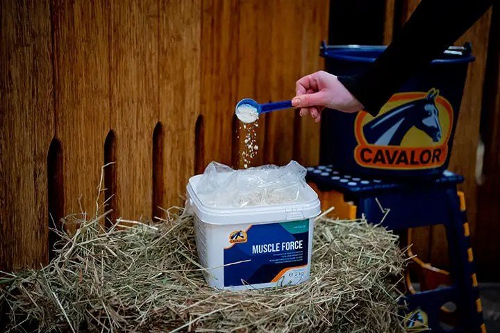 Cavalor - Muscle Force - L-HC014-2 - Cavalor - Horses