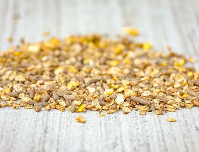 Cavalor - Perfomix Sport - L-HC002 - Cavalor - Horses