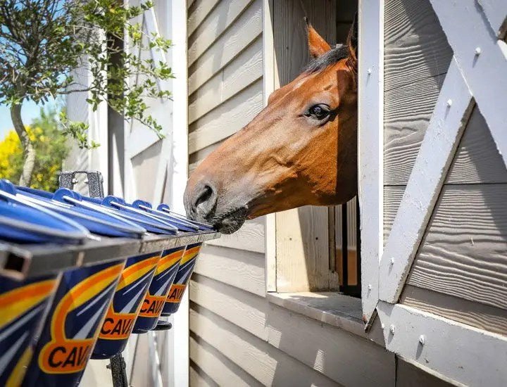 Cavalor - WholeGain - L-HC012 - Cavalor - Horse Feed