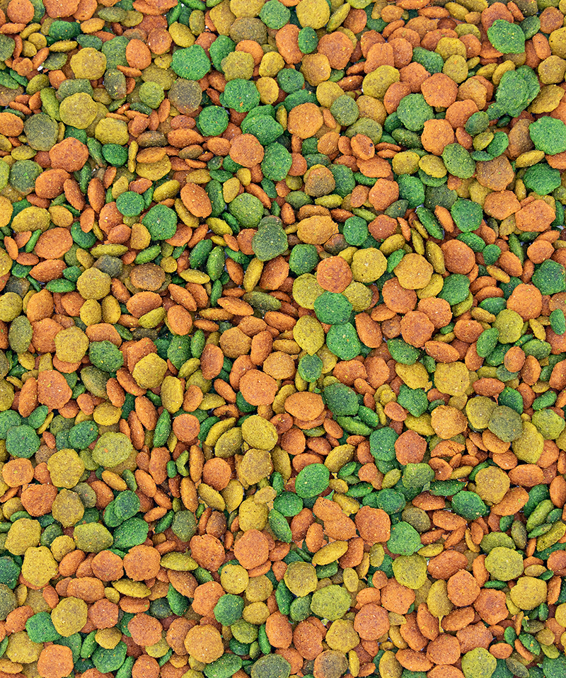 NutriBird G14 Tropical - - Versele Laga - Food & Seed