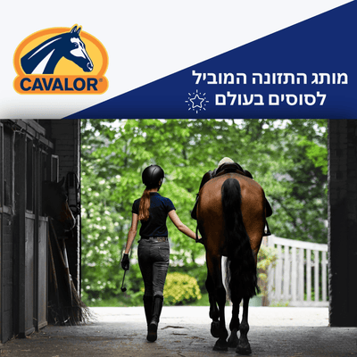 Why Cavalor Is Considered One of the Best Horse Nutrition Brands in the World - Loolizoo - חנות חיות מחמד