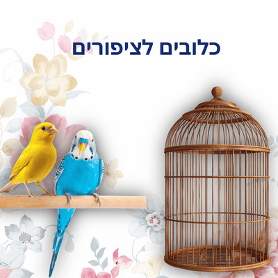 Cages for Birds - Loolizoo - חנות חיות מחמד
