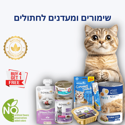 Cat Wet Food - Loolizoo - חנות חיות מחמד