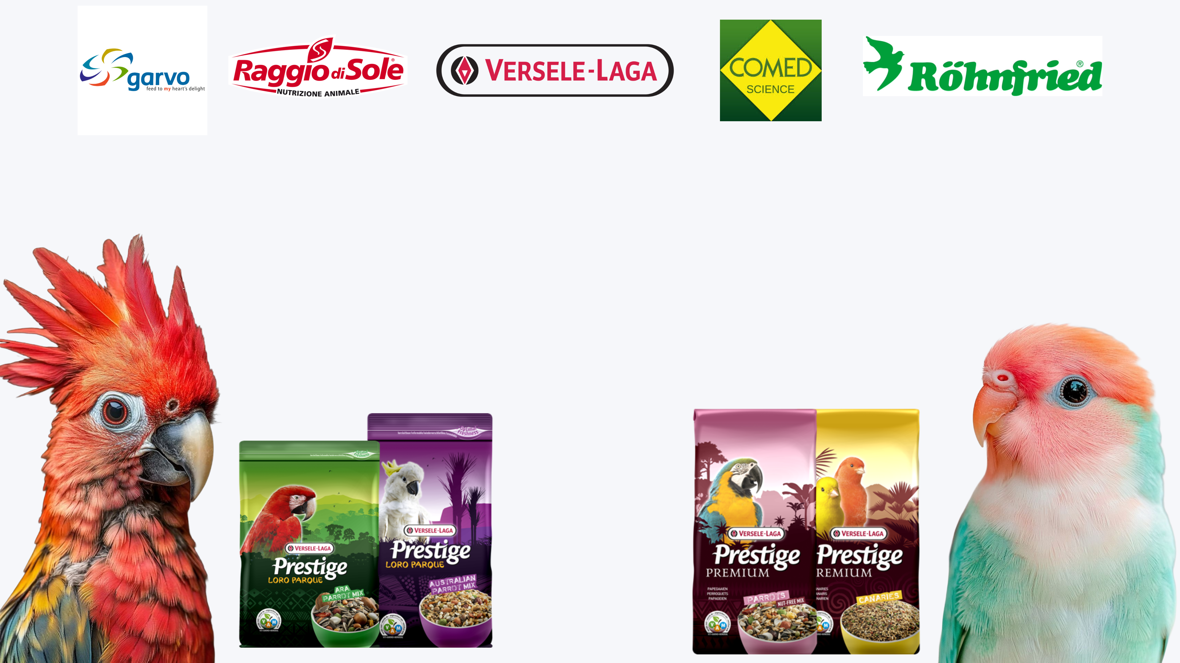 Two parrots with Prestige pet food packages and brand logos on a white background