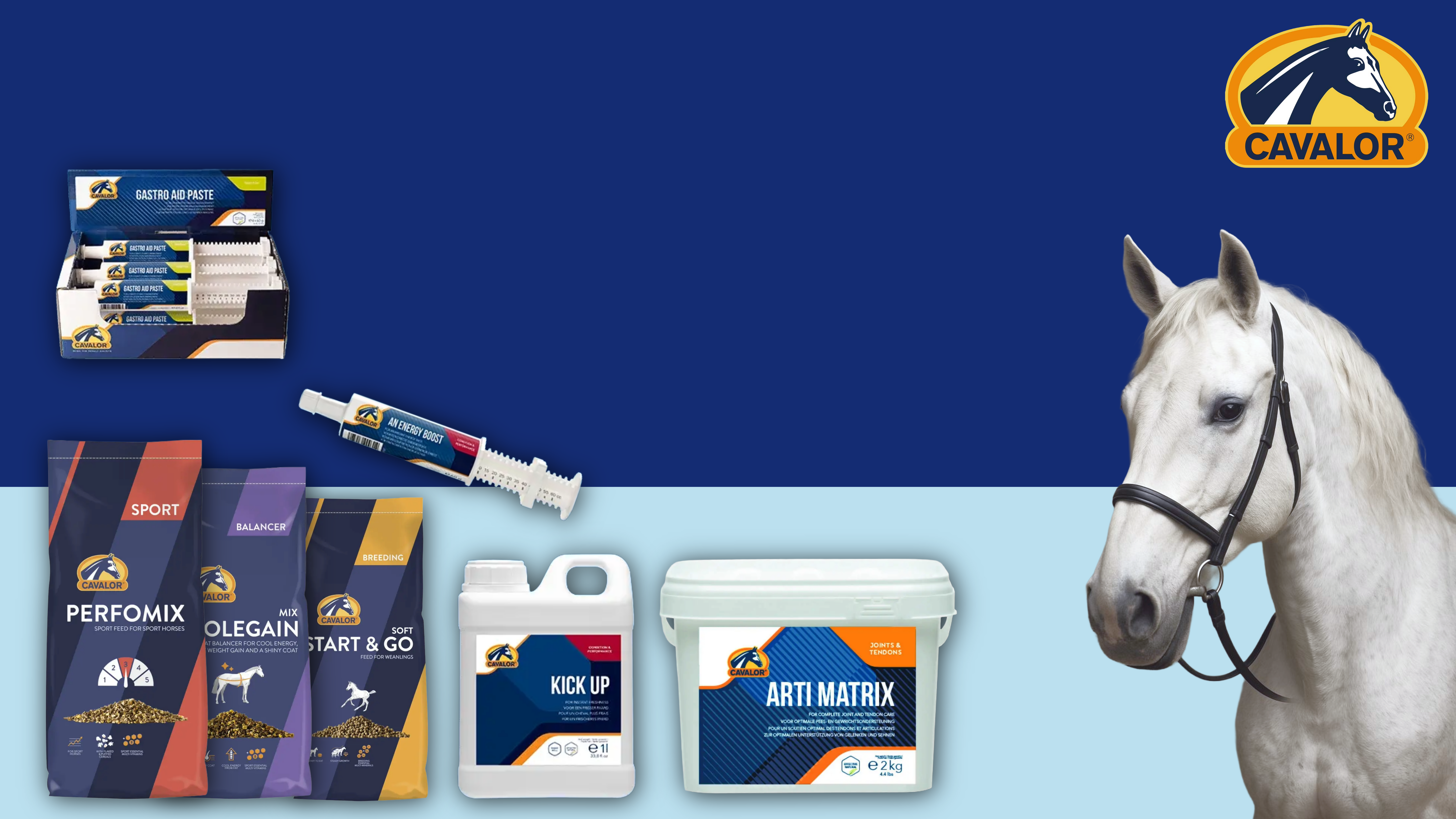 Horse_Banner_Collage