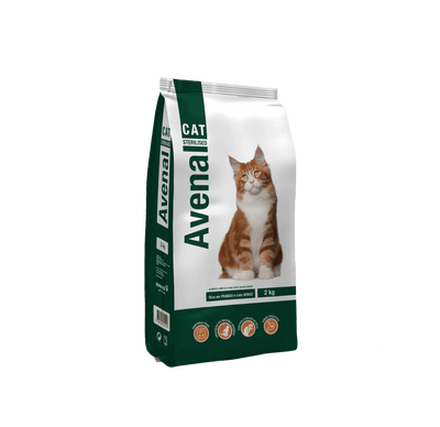 Avenal Cat - Sterilised - L-CA003-1 - Avenal - Cats