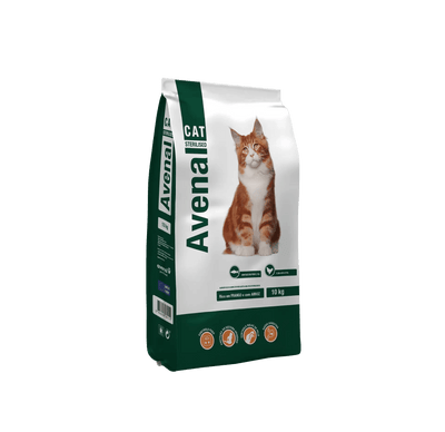 Avenal Cat - Sterilised - L-CA003-2 - Avenal - Cats