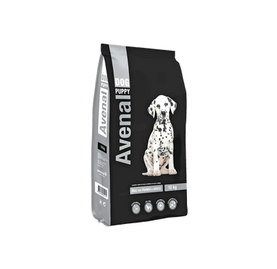 Avenal Dog - Puppy - L-DA008-1-1 - Avenal - Dogs