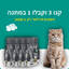 Cat Litter Bundle 3 + 1 FREE -  - Loolizoo - חנות חיות מחמד - Cat Litter