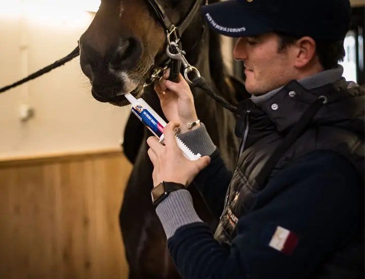 Cavalor - An Energy Boost - L-CH023 - Cavalor - Horses