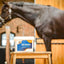 Cavalor Arti Matrix – Joint & Tendon Supplement 2 Kg -  - Cavalor - Horse Balancer