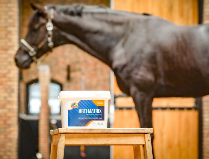 Cavalor Arti Matrix – Joint & Tendon Supplement 2 Kg -  - Cavalor - Horse Balancer