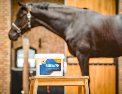 Cavalor Arti Matrix – Joint & Tendon Supplement 2 Kg -  - Cavalor - Horse Balancer