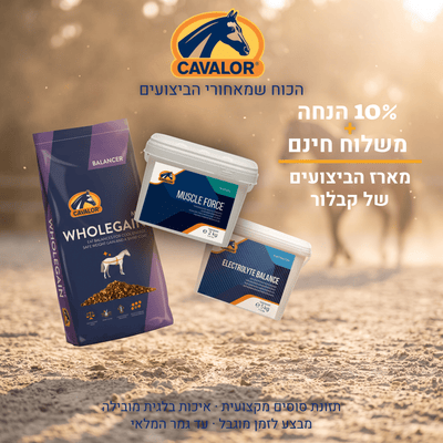 Cavalor Complete Care Kit -  - Cavalor - Horses