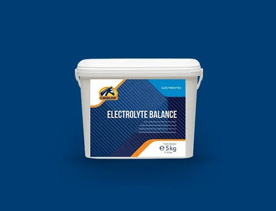 Cavalor - Electrolyte Balance - L-HC016 - Cavalor - Horses