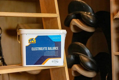 Cavalor - Electrolyte Balance - L-HC016 - Cavalor - Horses