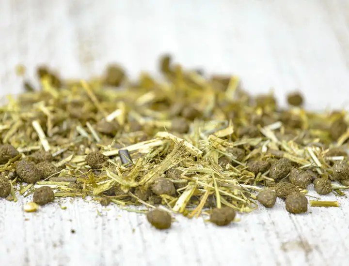 Cavalor - FiberForce - L-HC006 - Cavalor - Horses