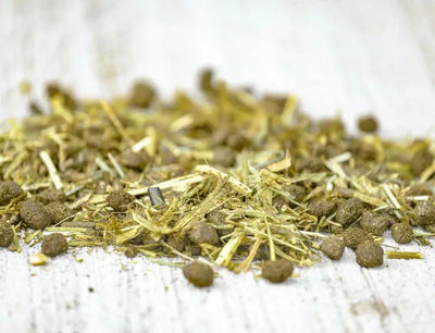 Cavalor - FiberForce - L-HC006 - Cavalor - Horses