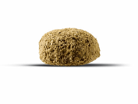 Cavalor - Fruities -  - Cavalor - Horses