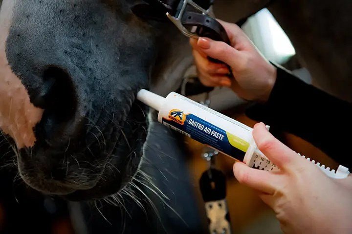Cavalor - Gastro Aid Paste - L-CH022 - Cavalor - Horses