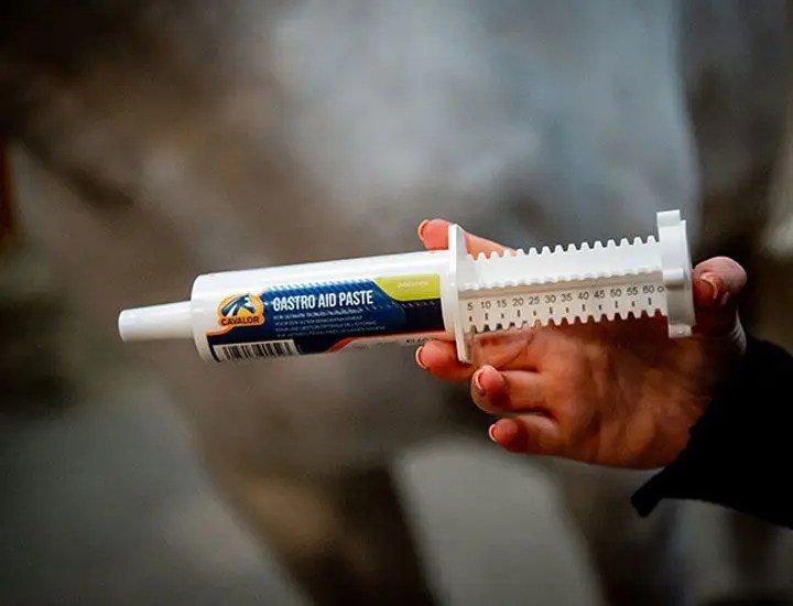 Cavalor - Gastro Aid Paste - L-CH022 - Cavalor - Horses