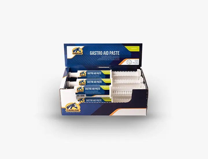 Cavalor - Gastro Aid Paste - L-CH022 - Cavalor - Horses