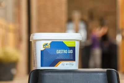 Cavalor Gastro Aid – Stomach Support for Horses 1.8 Kg -  - Cavalor -