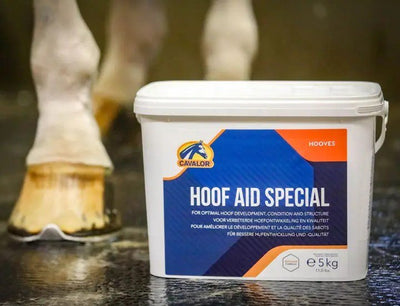 Cavalor - Hoof Aid Special - L-CH021-1 - Cavalor - Horses