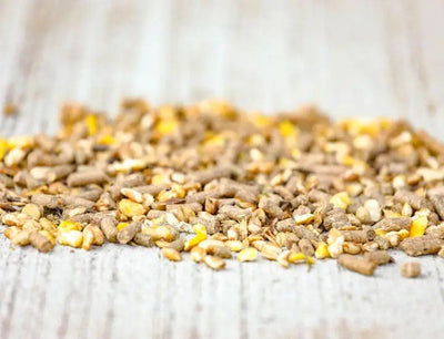 Cavalor - Juniorix - L-HC005 - Cavalor - Horses