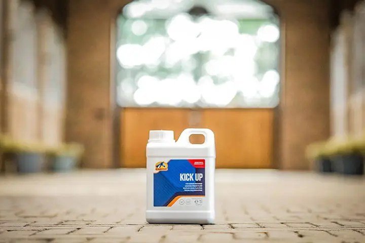 Cavalor - Kick Up - L-HC018 - Cavalor - Horses