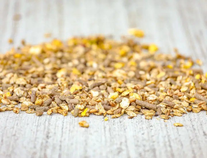 Cavalor - Perfomix Sport - L-HC002 - Cavalor - Horses