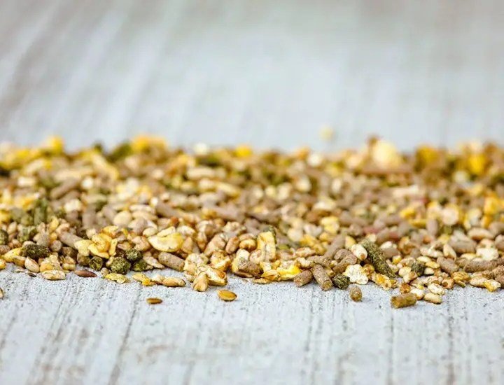 Cavalor - Probreed Mix - L-HC001 - Cavalor - Horse Feed