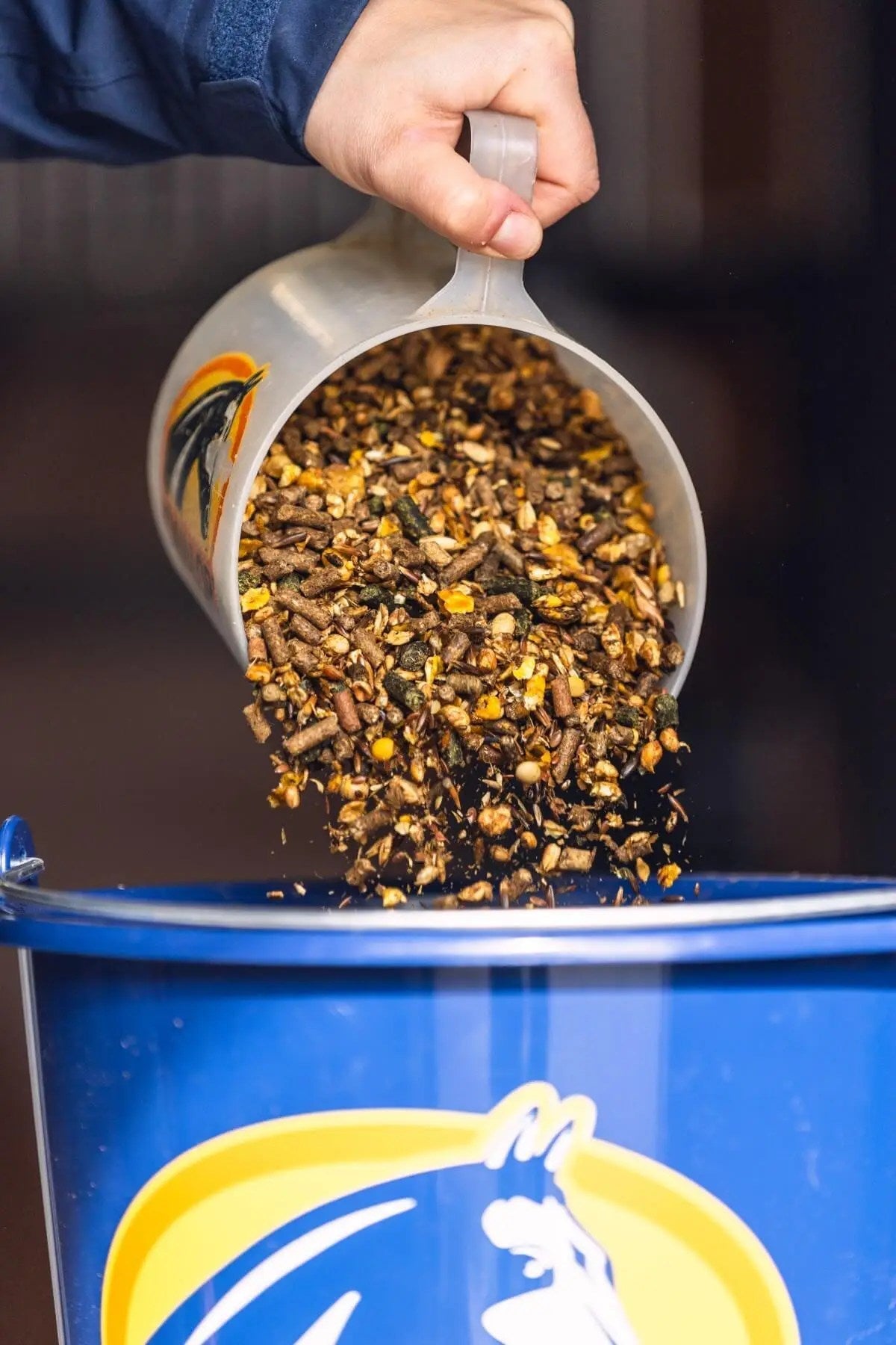 Cavalor - Shine & Show - L-HC003 - Cavalor - Horses