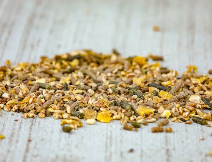 Cavalor - Shine & Show - L-HC003 - Cavalor - Horses