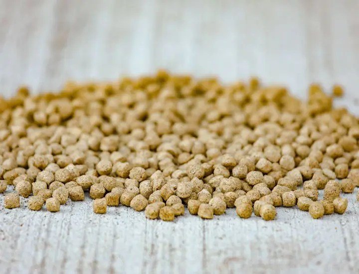 Cavalor - Start & Go Soft - L-HC010 - Cavalor - Horses