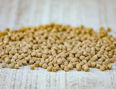 Cavalor - Start & Go Soft - L-HC010 - Cavalor - Horses