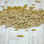 Cavalor - Tradition Pellet - L-HC009 - Cavalor - Horses