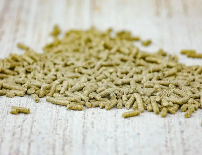 Cavalor - VitAmino - L-HC013 - Cavalor - Horse Feed