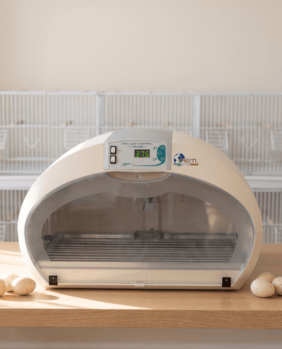 FIEM Cosmo EVO Automatic Egg Incubator & Hatcher – EVO PLUS, 70 Eggs - FIEM-COSMO-EVO - FIEM - Egg Incubator