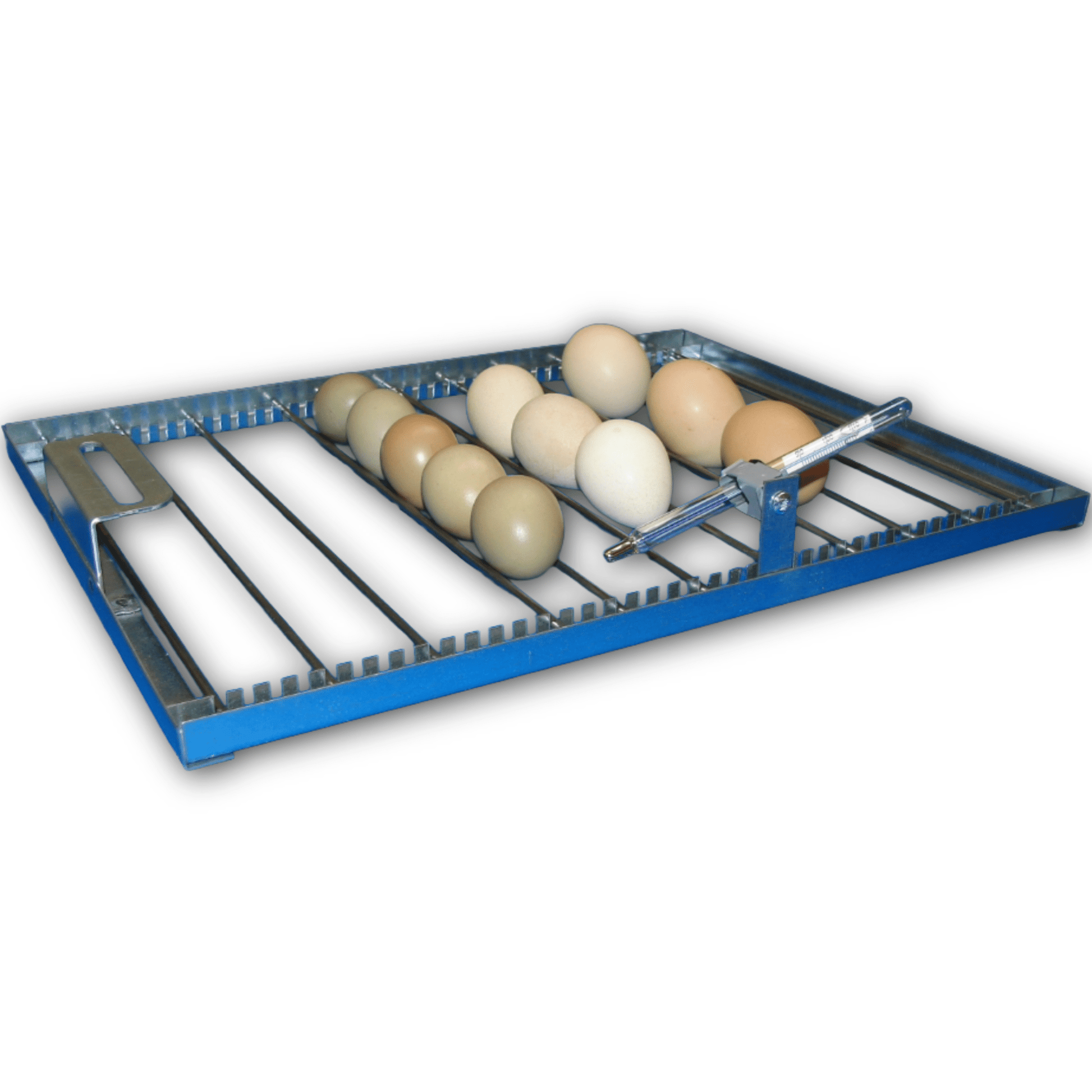 FIEM INCA 45 Automatic Egg Incubator & Hatcher – MINI LED, 45 Eggs - FIEM-INCA-ML - FIEM - Egg Incubator