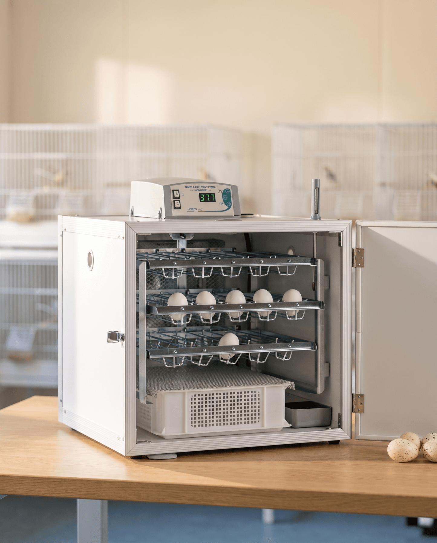 FIEM MG100/150 B.Family Incubator + Hatcher – 105 Eggs Setting - FIEM-SH100AMLP - FIEM - Egg Incubator