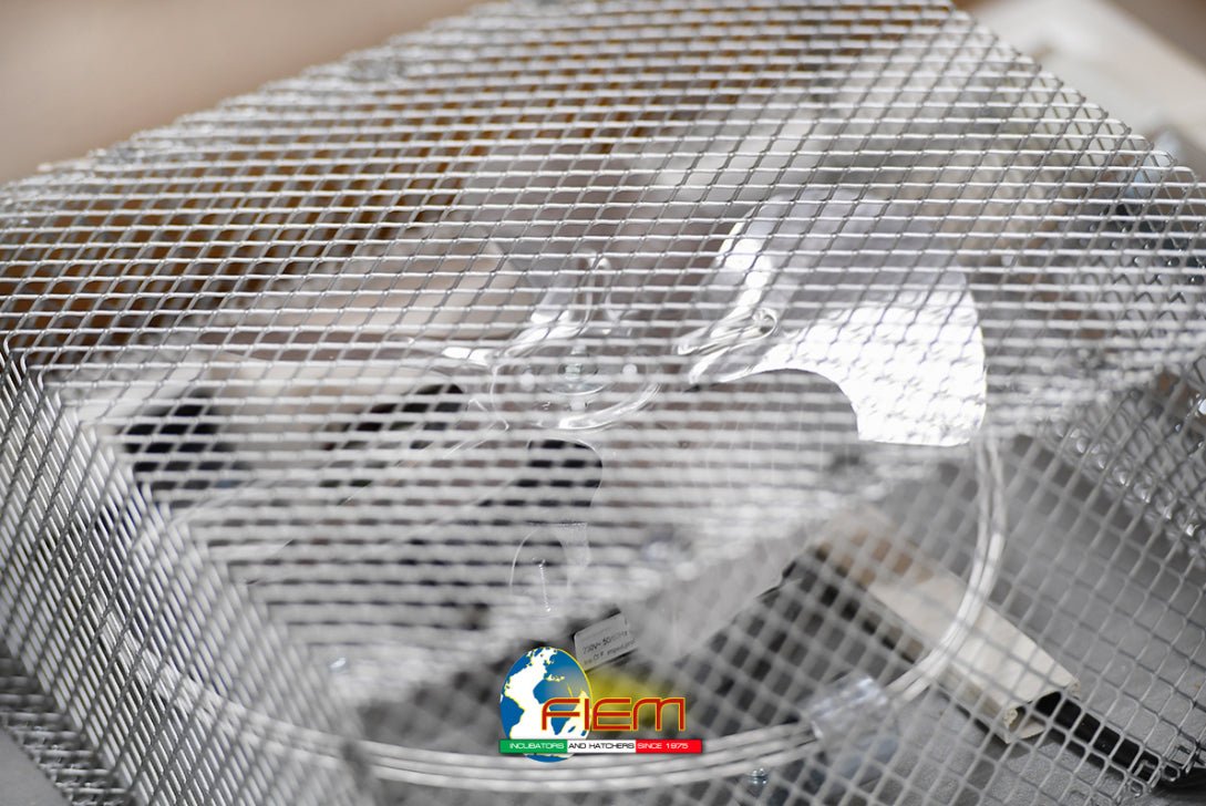 FIEM MG140/200 Rurale Incubator + Hatcher – EVO PLUS, 140 Eggs - FIEM-SH140ADP - FIEM - Egg Incubator