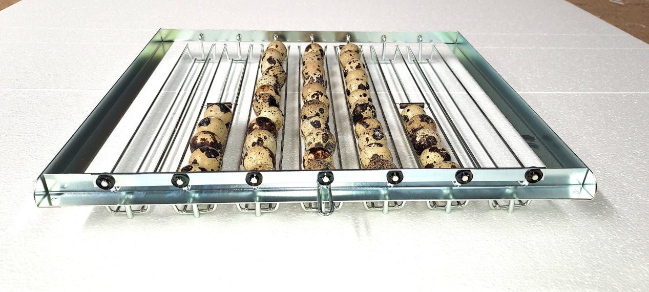 FIEM MG320S Maxi Pro Incubator | 320 Eggs | Loolizoo - FIEM-SH320ADP - FIEM - Egg Incubator