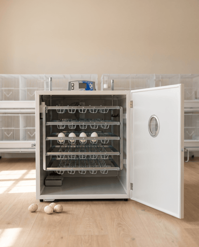 FIEM MG320S Maxi Pro Incubator | 320 Eggs | Loolizoo - FIEM-SH320ADP - FIEM - Egg Incubator