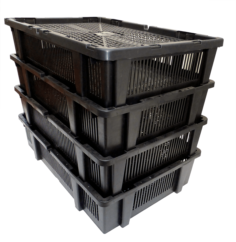 FIEM MG320S Maxi Pro Incubator | 320 Eggs | Loolizoo - FIEM-SH320ADP - FIEM - Egg Incubator