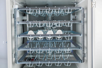 FIEM MG320S Maxi Pro Incubator | 320 Eggs | Loolizoo - FIEM-SH320ADP - FIEM - Egg Incubator